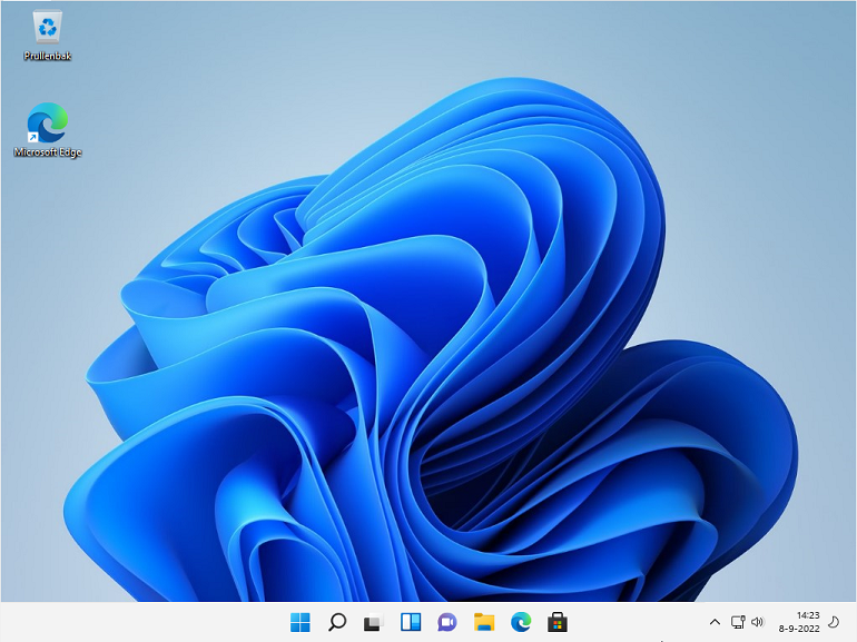 Windows 11 Desktop